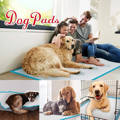 Dog Training Pads, XXL, 30 in X 36 In, 60 Count Disposable Dog Puppy Pee Pads