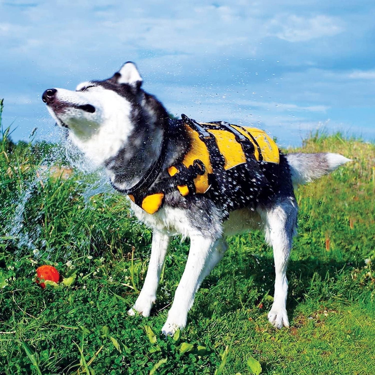 DFD Dog Life Jacket - Adjustable & Reflective Safety Vest for Swimming - Enhanced Flotation with Durable Grab Handle - Medium Size, Bright Yellow