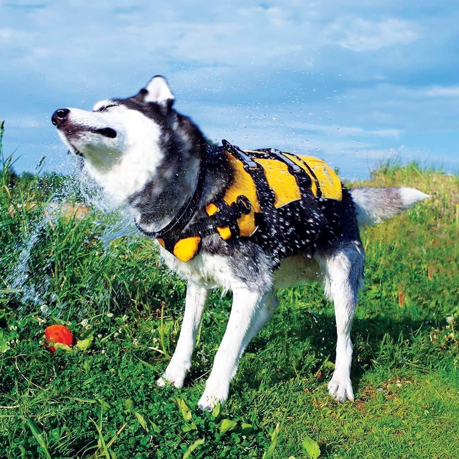 DFD Dog Life Jacket - Adjustable & Reflective Safety Vest for Swimming - Enhanced Flotation with Durable Grab Handle - Medium Size, Bright Yellow