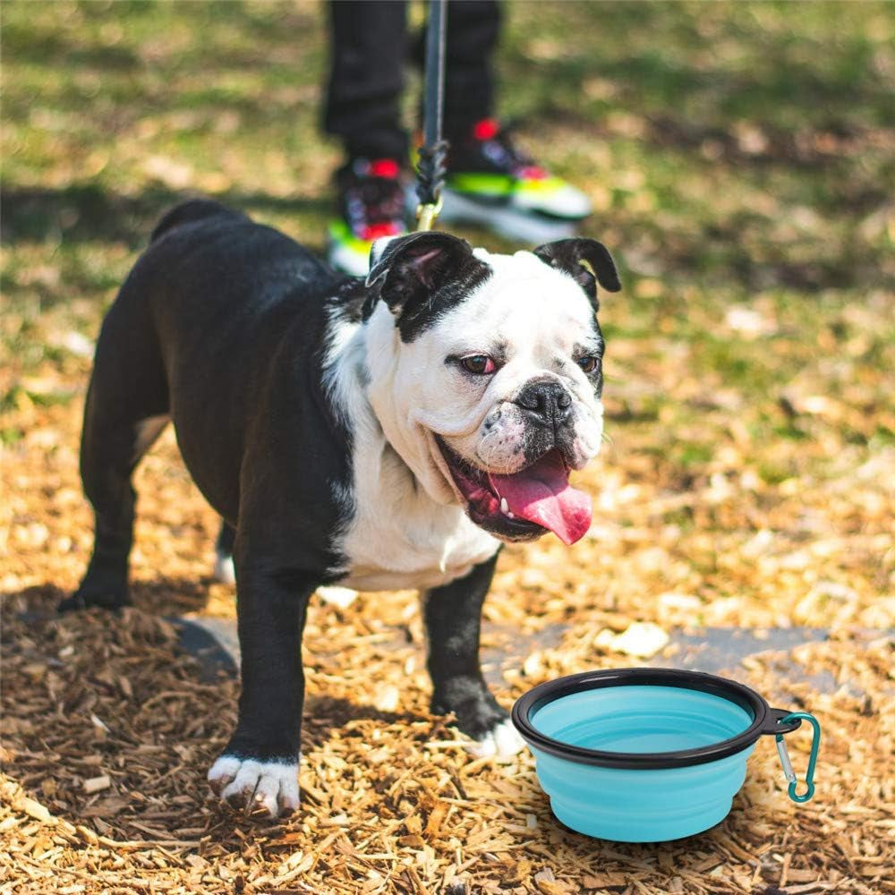 Travel-Friendly Collapsible Pet Bowls - 2 Pack Silicone Feeders for Dogs & Cats, Perfect for Food & Water on the Go (Light Blue & Light Green)
