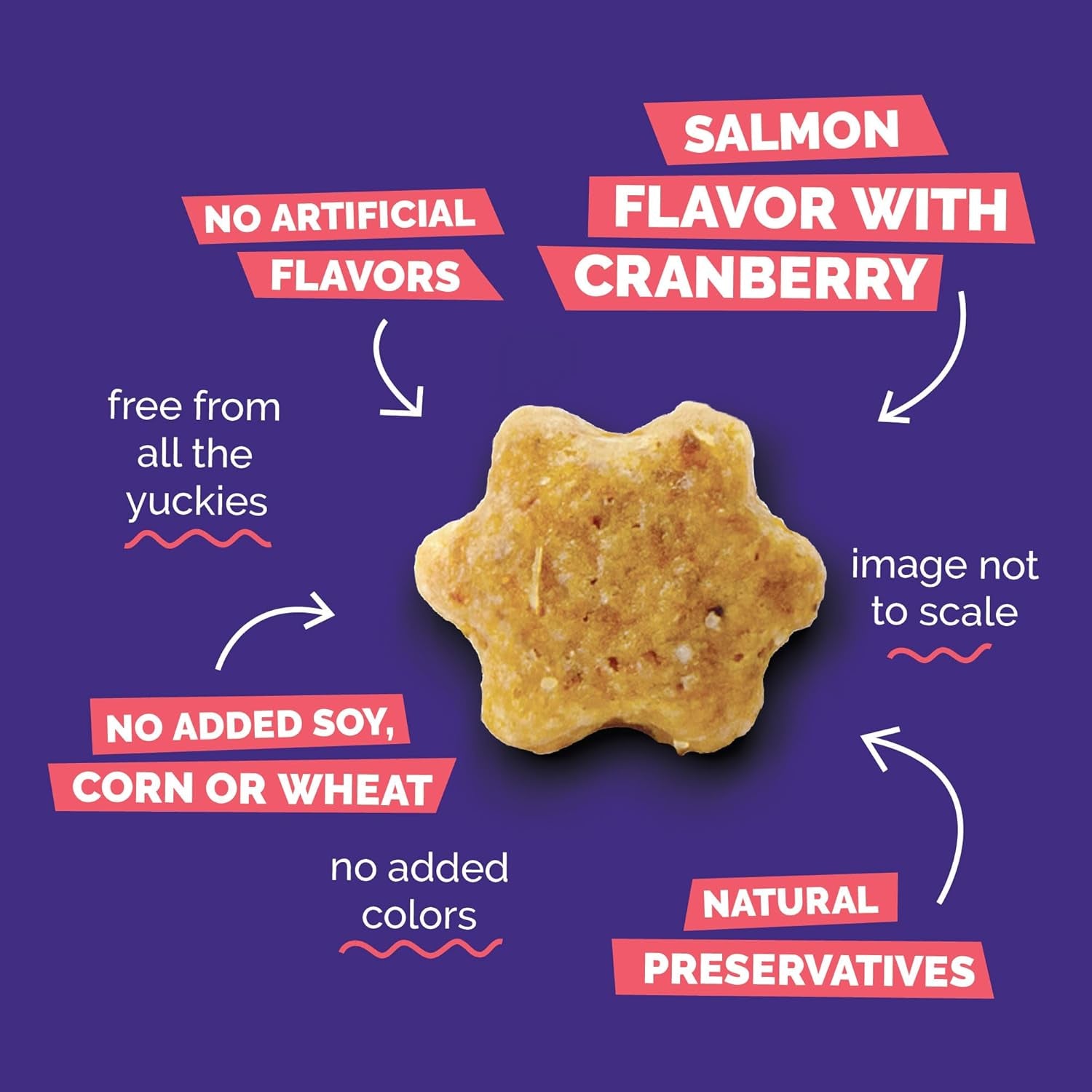 Deliciously Healthy Cat Treats - Low Calorie, Protein-Packed Crunchy Biscuits with Real Salmon & Cranberry - 2.5 Oz, Grain-Free Formula!