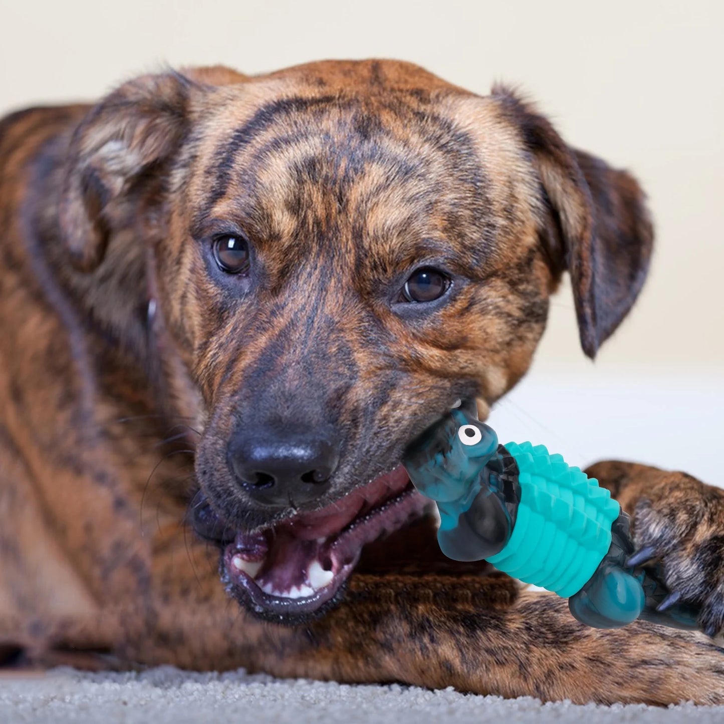 Indestructible Dog Toys for Aggressive Chewers - Durable Chewing Toys for Large Breeds in Blue