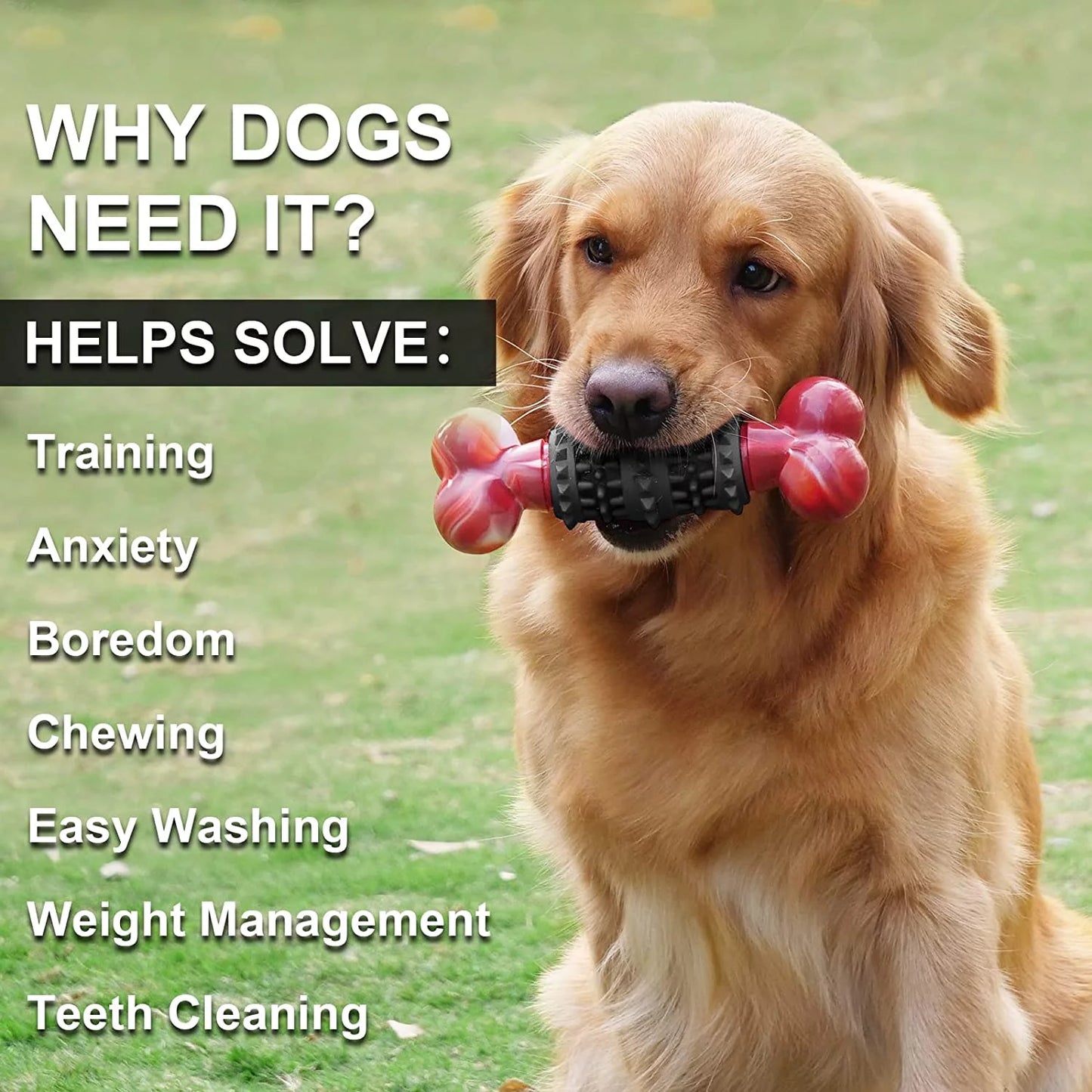 Indestructible Dog Bone Toy for Aggressive Chewers - Interactive Chew Toy for Large & Medium Dogs by Dinosam