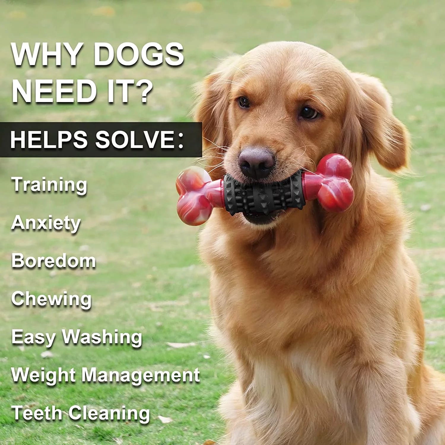 Indestructible Dog Bone Toy for Aggressive Chewers - Interactive Chew Toy for Large & Medium Dogs by Dinosam